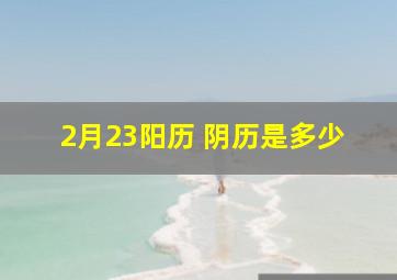 2月23阳历 阴历是多少